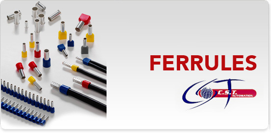 FERRULES